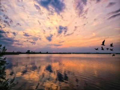 Apartment Apartment in Rosolina Mare near centre - Environment photo 18