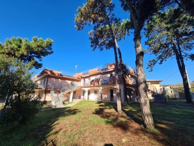 Apartment Pleasant apartment in Rosolina Mare - Outdoor photo 5