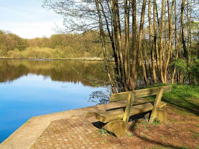 Holiday house Ferienhaus am Wockersee in Parchim - Environment photo 14