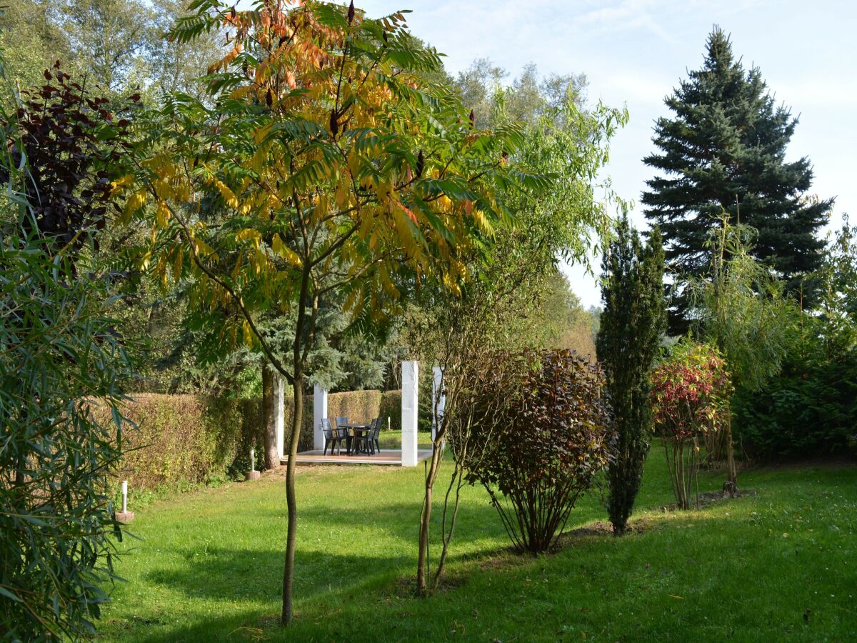 Holiday house Ferienhaus mit Terrasse und Kaminofen in Parchim - Outdoor photo 3