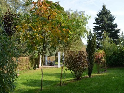 Holiday house Ferienhaus mit Terrasse und Kaminofen in Parchim - Outdoor photo 3