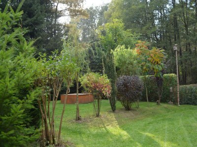 Holiday house Ferienhaus mit Terrasse und Kaminofen in Parchim - Outdoor photo 9