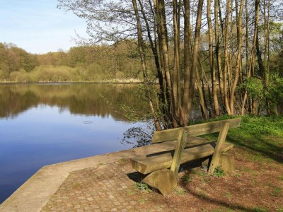 Holiday house Ferienhaus mit Terrasse und Kaminofen in Parchim - Environment photo 16