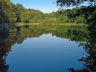 Bungalow Ferienhaus am Wockersee in Parchim - Environment photo 13