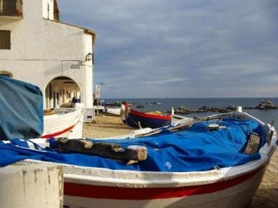 Apartment Apartment in Llafranc with Sea Views - Environment photo 35