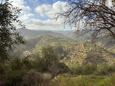 Villa 5-Bedroom Villa with Pool, Swimjet and Jacuzzi - Environment photo 38