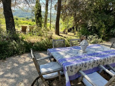 Cottage Villa in Vaison-la-Romaine mit Privatpool - Outdoor photo 15