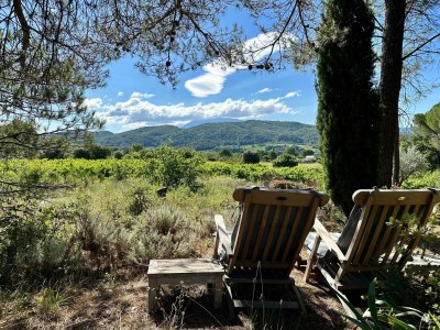 Cottage Villa in Vaison-la-Romaine mit Privatpool - Environment photo 35