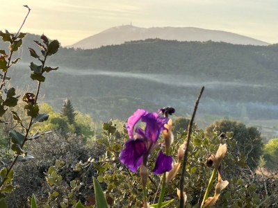 Cottage Villa in Vaison-la-Romaine mit Privatpool - Environment photo 38