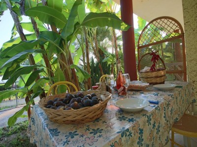 Apartment Mediterranean Holiday Home for 4 - Outdoor photo 14