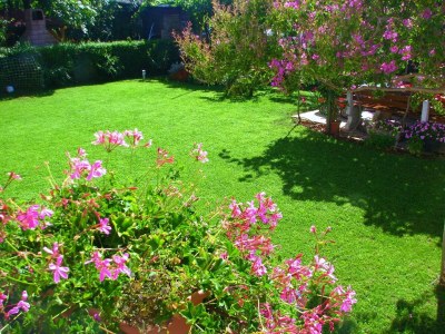 Apartment Sandra No.1 - Environment photo 21