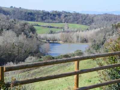 Farmhouse Il Castellare di Tonda - Environment photo 10