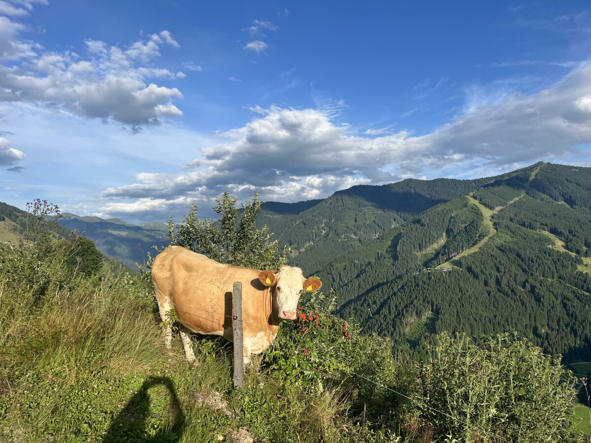 Apartment Saalachblick - Outdoor photo 5