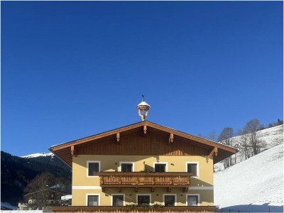 Apartment Saalachblick in Viehhofen - Apartment