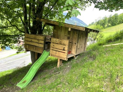 Apartment Saalachblick - Outdoor photo 9