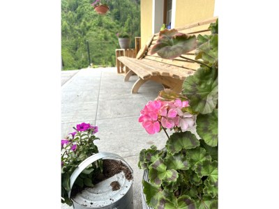 Apartment Saalachblick - Outdoor photo 10