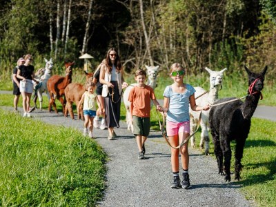 Apartment Appartement Lisa - Outdoor photo 11