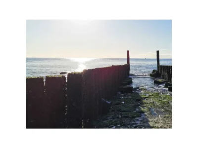 Holiday house Chalet Herzklopfen mit Zaun Hausnr. B092 - Outdoor photo 37