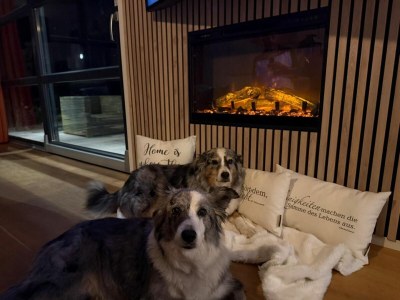 Holiday house Chalet First Line Erste Reihe mit Zaun Haus Nr. 214 - Outdoor photo 22