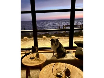 Holiday house Chalet First Line Erste Reihe mit Zaun Haus Nr. 214 - Outdoor photo 23