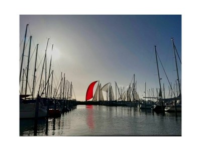 Holiday house Chalet First Line Erste Reihe mit Zaun Haus Nr. 214 - Outdoor photo 33