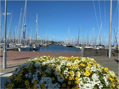 Holiday house Chalet First Line Erste Reihe mit Zaun Haus Nr. 214 - Outdoor photo 34