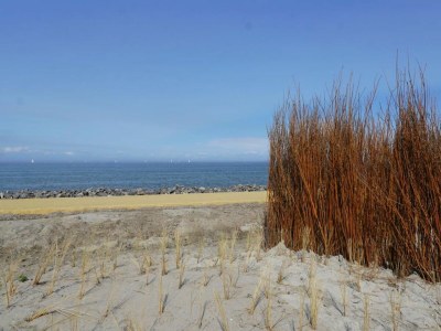 Holiday house BeachHouse Strandgut mit Zaun Nr. 400 - Outdoor photo 14