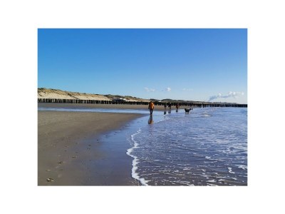 Holiday house Chalet Ocean Lodge mit Zaun & Windschutz am Strandaufgang G127 - Outdoor photo 26