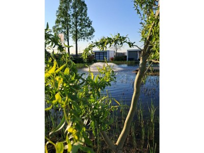 Holiday house Chalet Land in Sicht mit Zaun Haus Nr. 81 - Outdoor photo 25