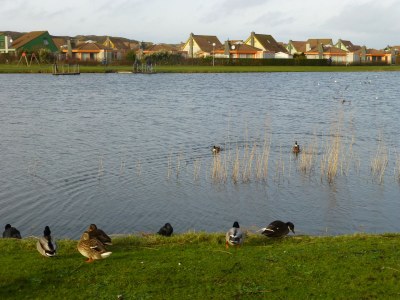 Holiday house Speetzen - Environment photo 14