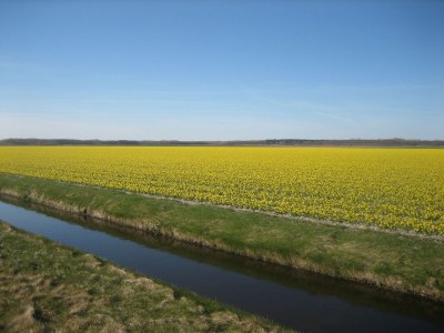 Holiday house Speetzen - Environment photo 16