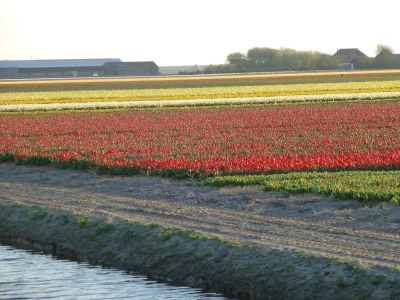 Holiday house Speetzen - Environment photo 19