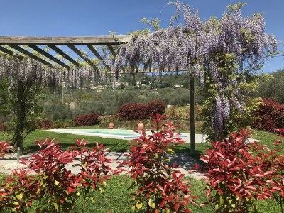 Farmhouse Apartment in Tuscany with Pool and Lucca Views - Outdoor photo 18