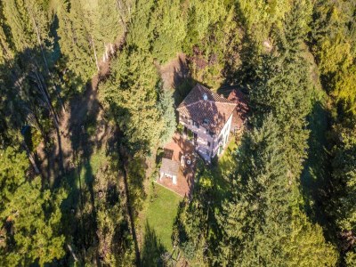 Villa Farmhouse in Tuscany near Lucca & Beaches - Outdoor photo 12