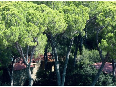 Apartment Apartment mit Pool in Strandnähe - Environment photo 17