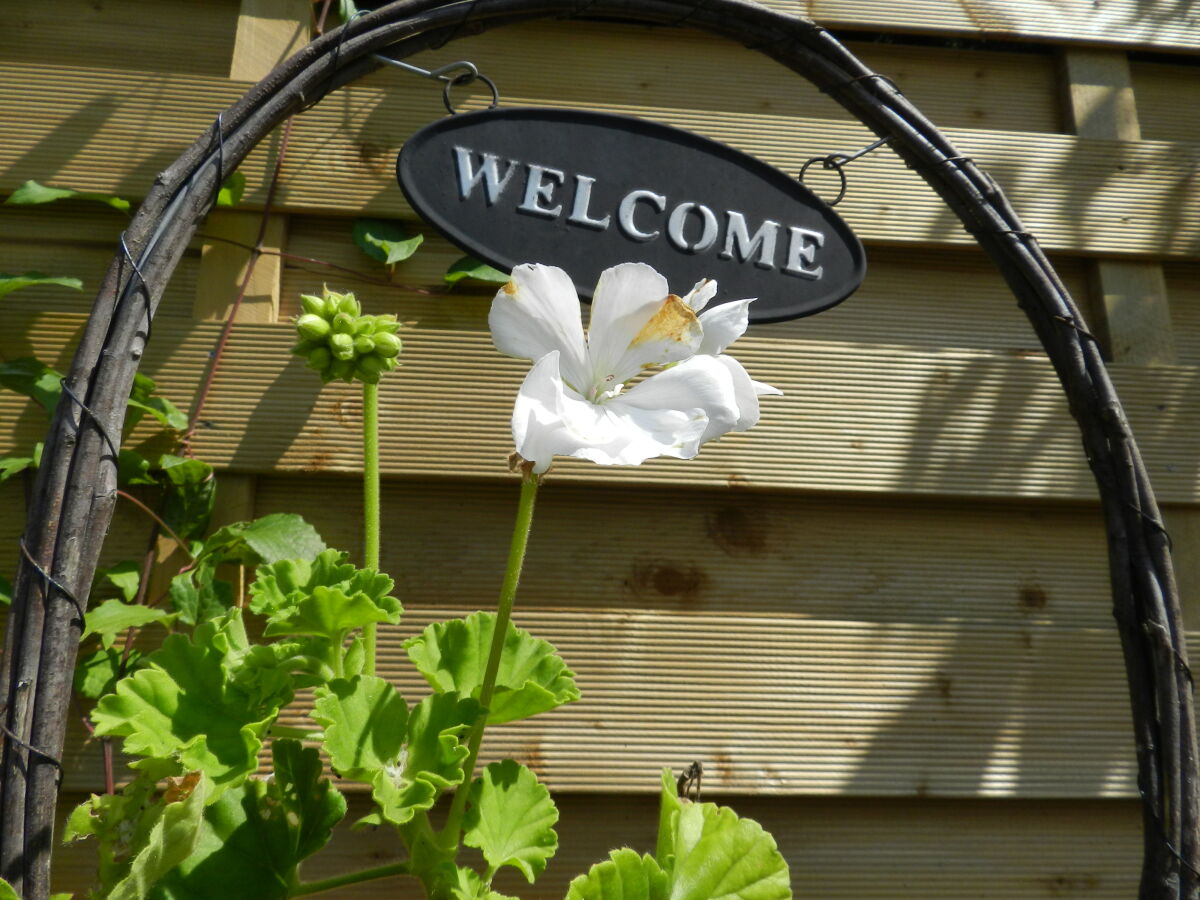 Holiday house Hennig - Outdoor photo 3