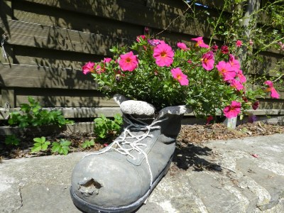 Holiday house Hennig - Outdoor photo 8