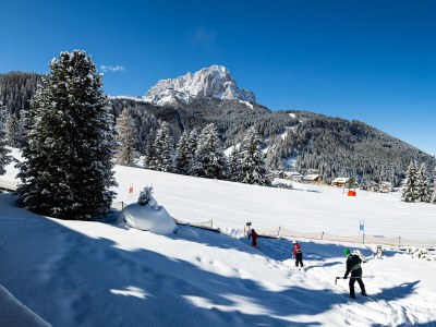 Holiday apartment Forelle "Panorama" - Outdoor photo 9