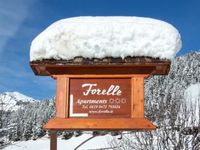 Holiday apartment Forelle "Panorama" - Document photo 25