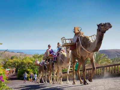 Villa Casa Pamplona - Environment photo 24