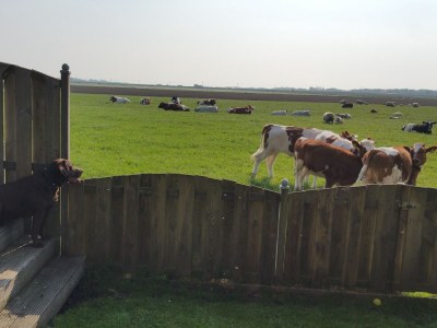 Apartment Akkerzicht - Environment photo 29