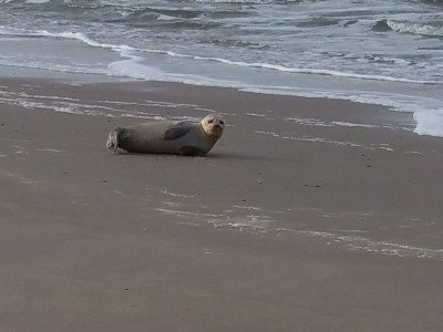 Apartment Akkerzicht - Environment photo 31