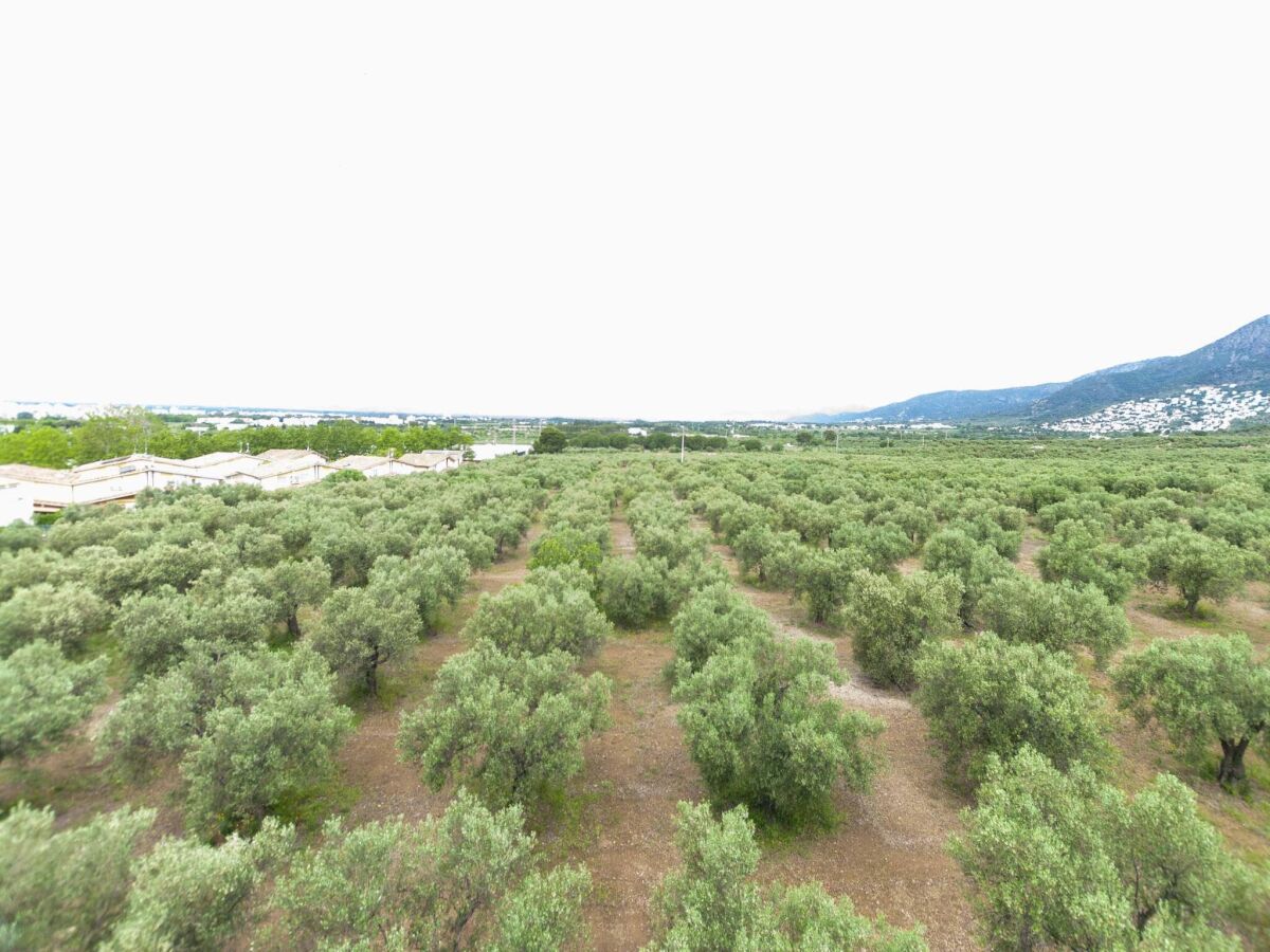 Apartment Apartment in Roses with Sea Views & Pool - Outdoor photo 2