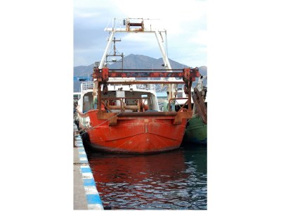 Apartment Wohnung in Roses mit Meerblick - Environment photo 23