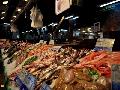 Apartment Wohnung in Roses mit Meer- und Bergblick - Environment photo 18