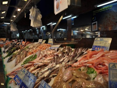 Apartment Apartment in Roses with Stunning Sea Views - Environment photo 27