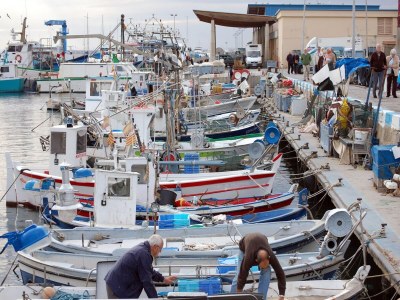 Apartment Schöne Wohnung nur 50 m vom Strand in Roses - Environment photo 21