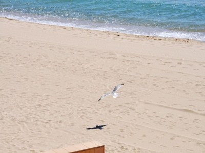 Apartment Apartment in Roses near Santa Margarita Beach - Environment photo 19