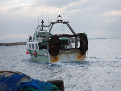 Apartment 2-Schlafzimmer-Apartment in Roses mit Meerblick. - Environment photo 37