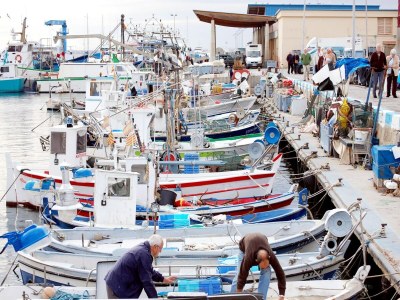 Apartment Studio in Roses nahe Santa Margarita Strand - Environment photo 10